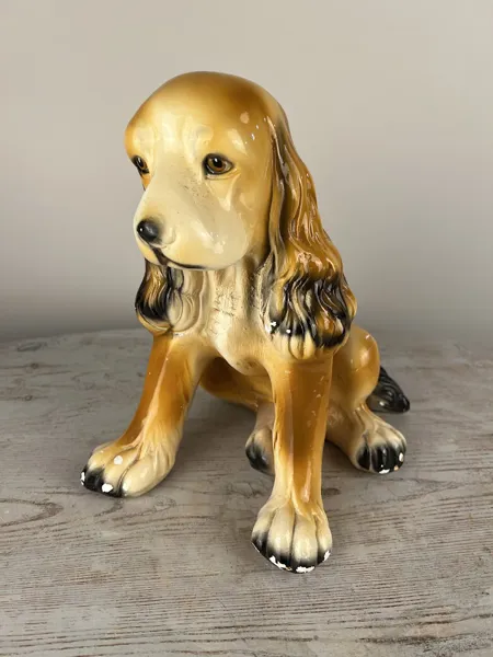 Hund Spaniel