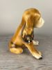Hund Spaniel