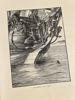 Robinson Crusoe 1893