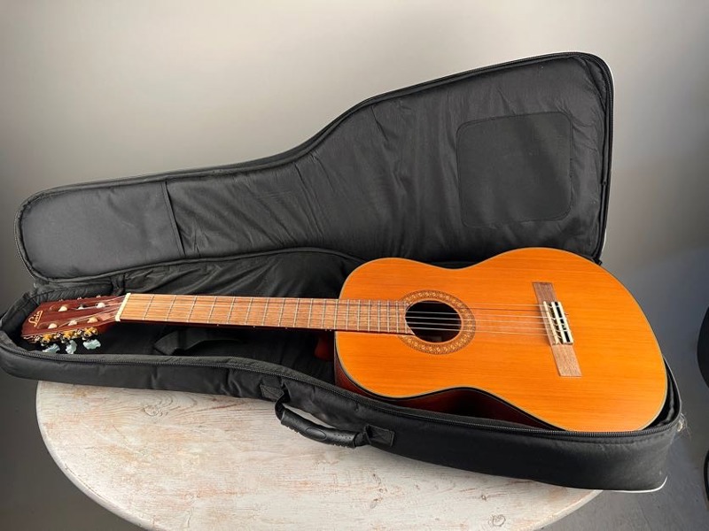 Levin Gitarr