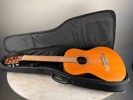 Levin Gitarr
