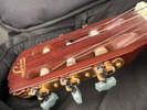 Levin Gitarr