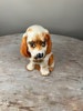 Hund Porslin